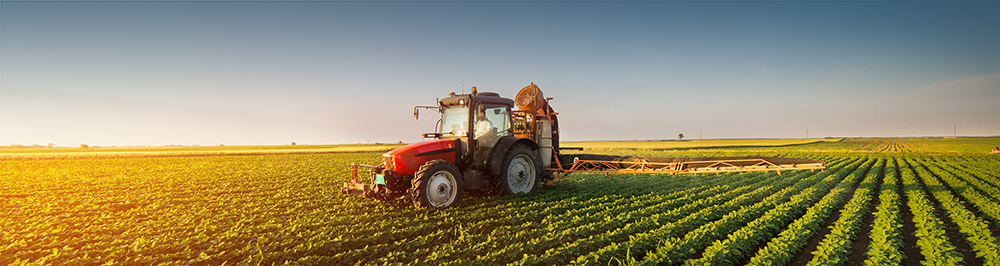 Ascendant Insurance Solutions provides specific products tailored to meet the needs of the agriculture industry, including Workers' Compensation insurance for farms and nurseries throughtout the state of Florida. 